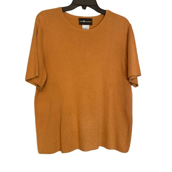 🌻Sag Harbor Burnt Orange Short Sleeve Sweater Size Large - Picture 1 of 4